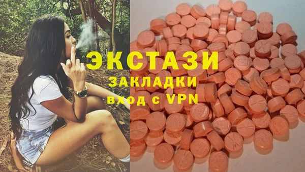 хмурый Алзамай