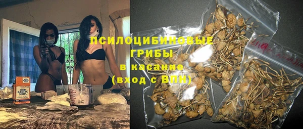 кокс Алексин
