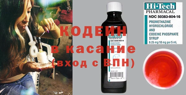 хмурый Алзамай