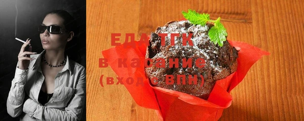 хмурый Алзамай