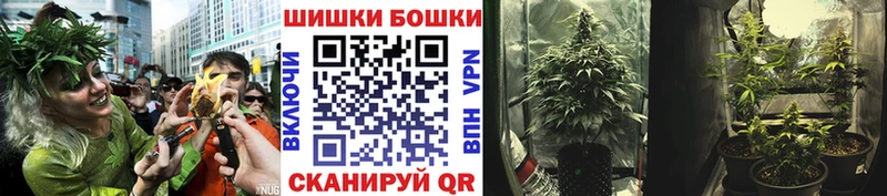 Бошки Шишки семена Кимры